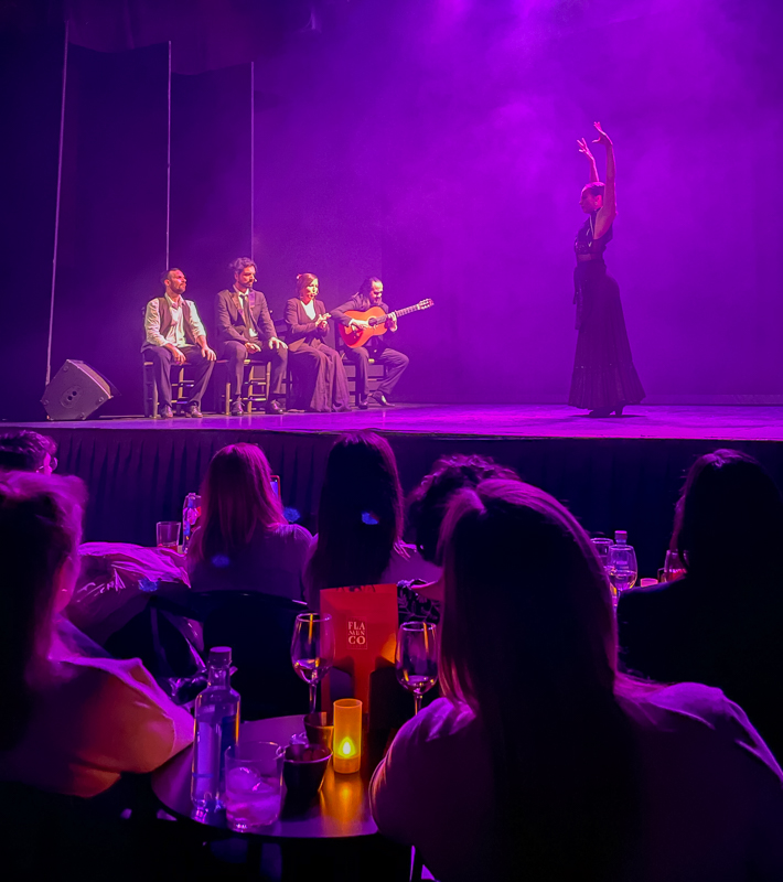 Flamenco show in Madrid