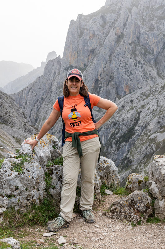 Heather in the Picos de Europa