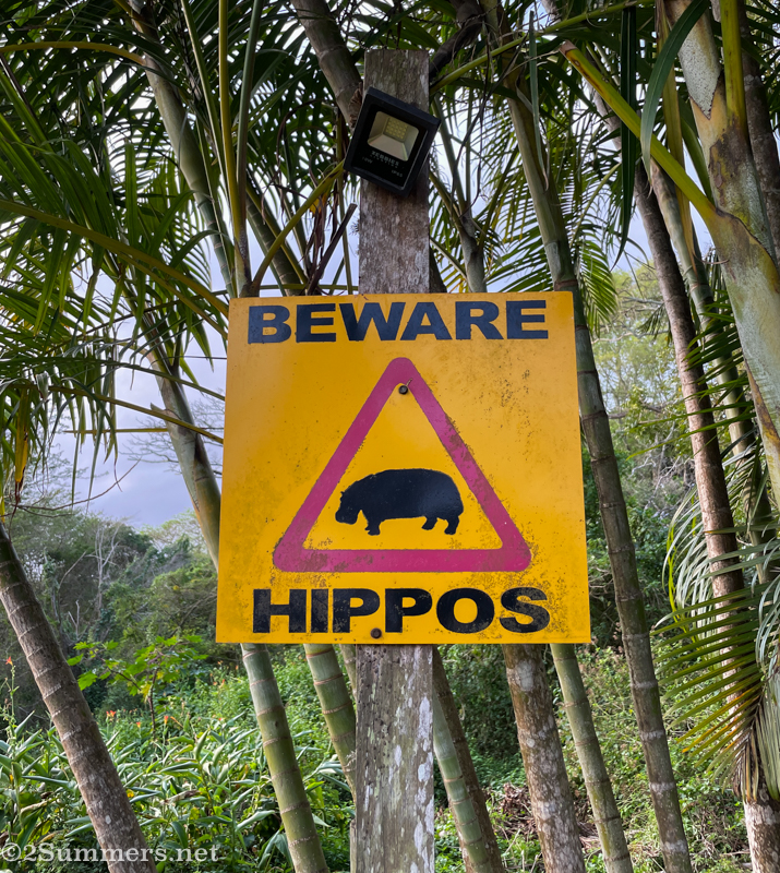 Beware of hippos sign