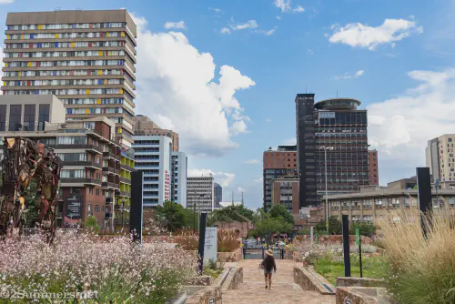 A woman walks through Indwe Park in Braamfontein